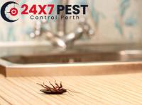 247 Cockroach Control Perth image 3